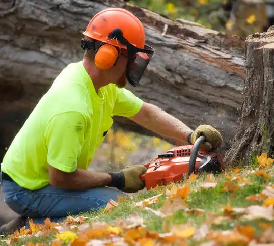 tree services Mastic